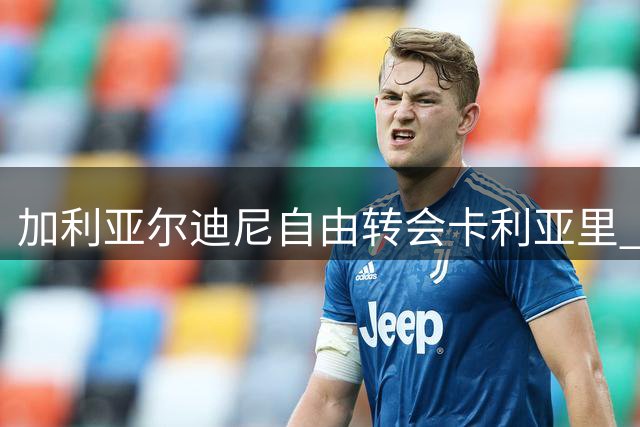 加利亚尔迪尼自由转会卡利亚里 签约一年附续约选项