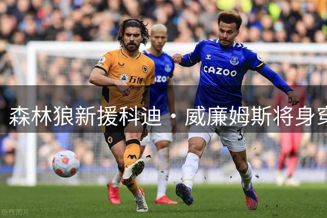 森林狼新援科迪·威廉姆斯将身穿9号战袍