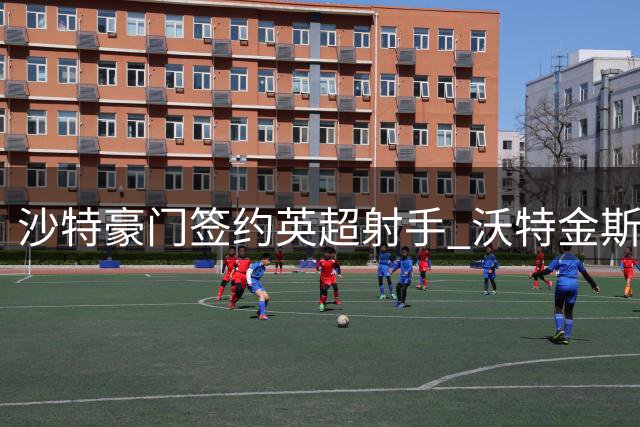 沙特豪门签约英超射手 沃特金斯转会尘埃落定